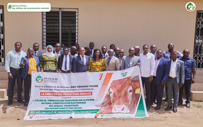 Identification des animaux