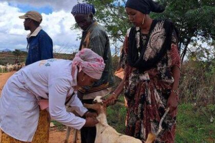 Santé animale Sénégal