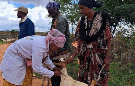 Santé animale Sénégal