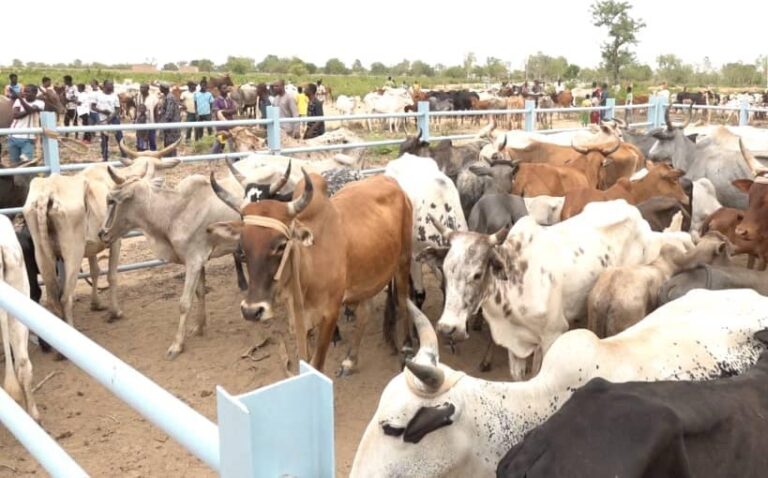 Le ministre d’Etat, ministre de l’Agriculture, des ressources animales et halieutiques du Burkina Faso (Ph.DR)