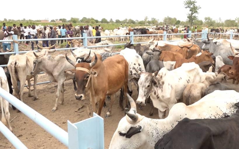 Le ministre d’Etat, ministre de l’Agriculture, des ressources animales et halieutiques du Burkina Faso (Ph.DR)