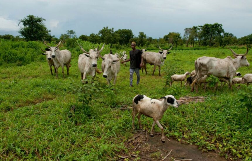 Le gouvernement fédéral du Nigéria a officiellement lancé la Stratégie nationale et le Plan d'action