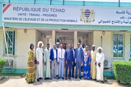 Production animale Tchad
