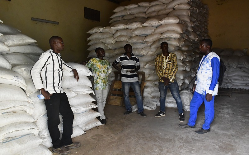 Production fourragère Burkina