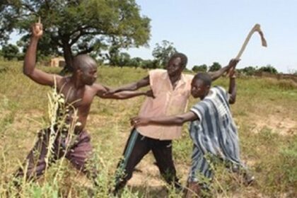 Des comités chargés des frontières et de l'élevage pour réduire les conflits entre agriculteurs et éleveurs ont été inaugurés récemment au Nigéria. Ces entités ont été également créées pour favoriser la coexistence pacifique entre les communautés voisines.