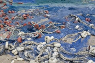 Le Ghana a ratifié l'accord de l'Organisation mondiale du commerce (OMC) sur les subventions à la pêche, a indiqué le Ministère de la pêche et de l'aquaculture dans une note.