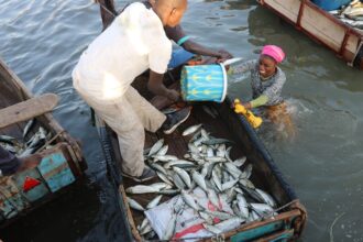 Communautés pour la pêche