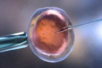 L'Iran veut exporter des embryons de vache de première qualité vers l'Afrique