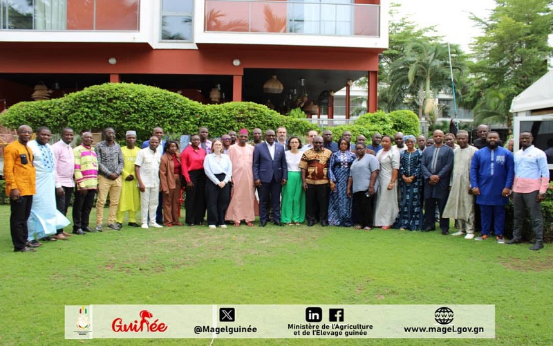 Filière Avicole Guinée