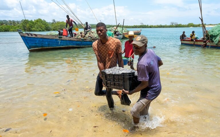 Filière pêche Mozambique
