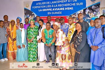 Grippe aviaire en Guinée