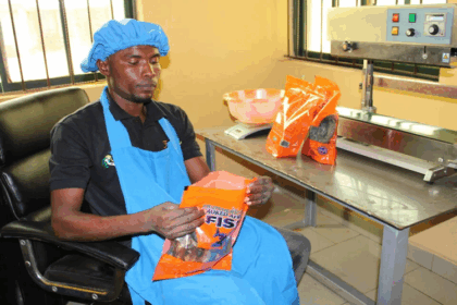 économie bleue Comores