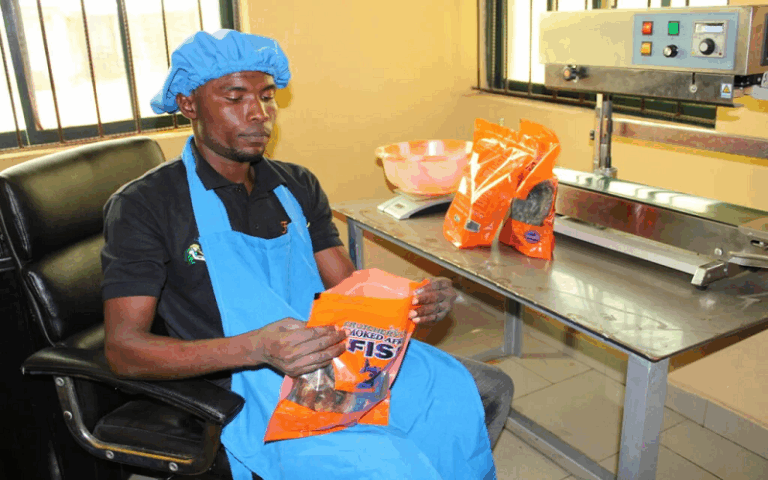 économie bleue Comores