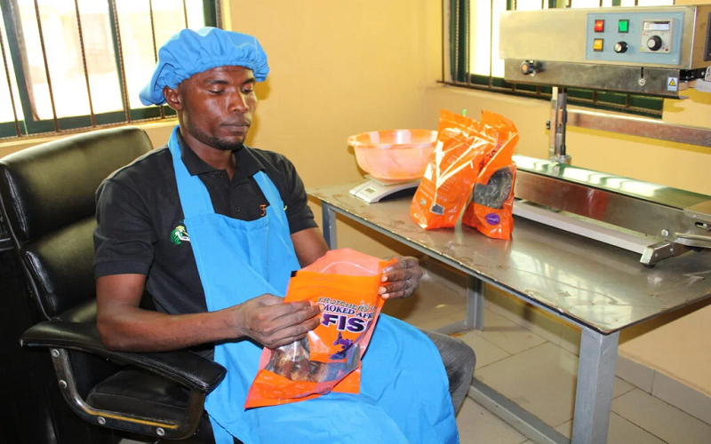 économie bleue Comores