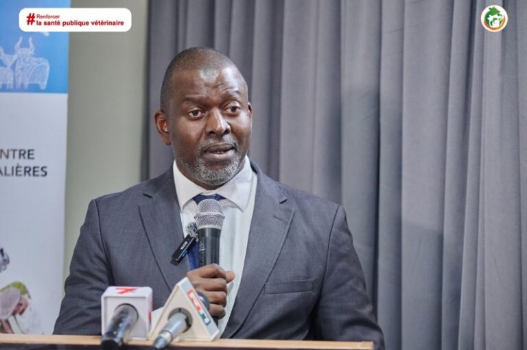 La crise sanitaire de la peste porcine africaine a frappé plusieurs localités de la Côte d’Ivoire entre 2024 et 2025.