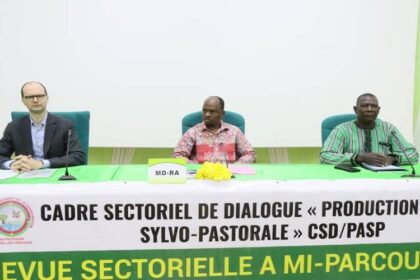 Une évaluation à mi –parcours du cadre sectoriel de dialogue production agro-sylvo pastorale (CSD/PASP), s’est tenue récemment à Ouagadougou