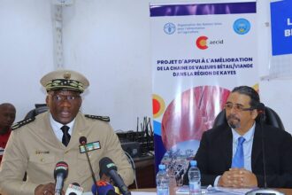 Un projet de plus de 300 millions de FCFA a été récemment lancé pour renforcer la performance chaîne de valeurs bétail/viande dans la Région de Kayes au Mali.