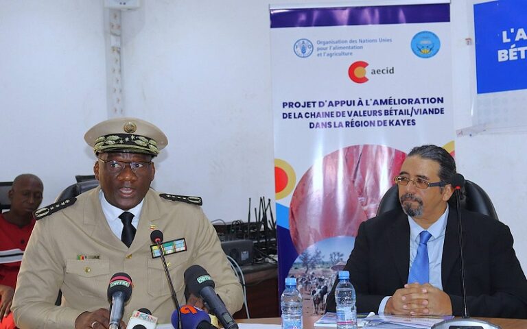 Un projet de plus de 300 millions de FCFA a été récemment lancé pour renforcer la performance chaîne de valeurs bétail/viande dans la Région de Kayes au Mali.