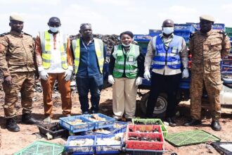 Sécurité alimentaire Burkina