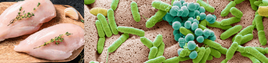 Sécurité alimentaire mondiale