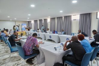 peste porcine africaine