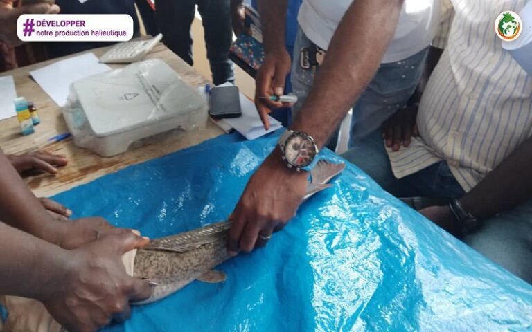 Aquaculture Côte d’Ivoire