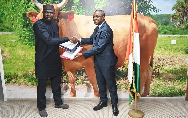 MIRAH et Heifer International