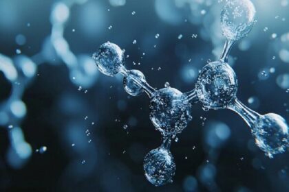 Lancement d’un projet de 3,35 millions de dollars pour réduire l’émission de méthane provenant du bétail