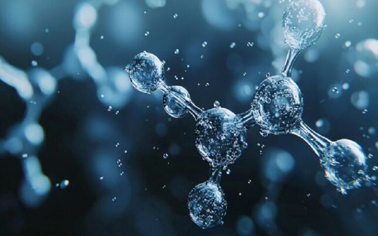 Lancement d’un projet de 3,35 millions de dollars pour réduire l’émission de méthane provenant du bétail