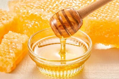 En Tanzanie, le secteur apicole a reçu récemment une bouffée d’oxygène, avec un financement de 493 millions de dollars pour améliorer les performances des coopératives locales, ont indiqué les médias locaux. 