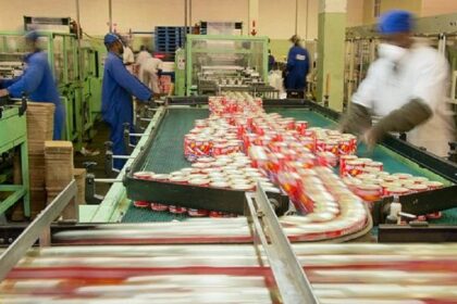 Pêche de sardines en Namibie