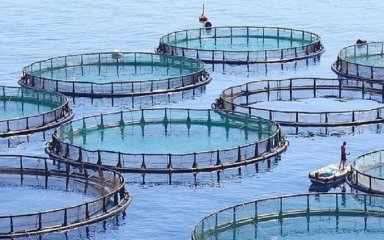 Les actions du PDC2Vpour booster le secteur aquacole en Côte d’Ivoire