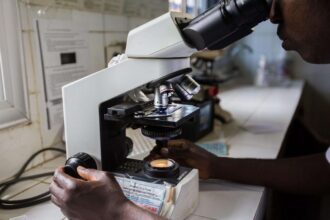 Un groupe international de scientifiques a conclu qu'un vaccin prometteur contre la peste porcine africaine (PPA) ne protège efficacement les porcs que contre certaines souches du virus