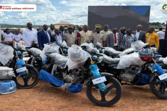 Vaccination animale Côte d’Ivoire