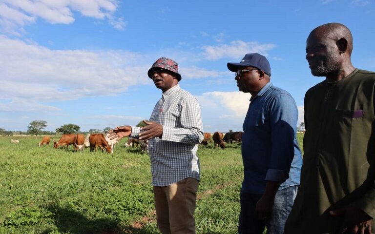 Villages élevage Nigéria