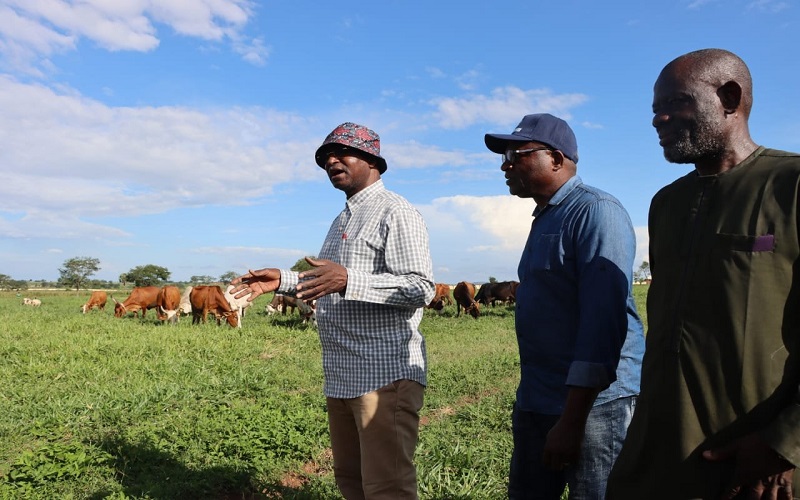 Villages élevage Nigéria