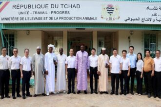 aliments pour bétail Tchad