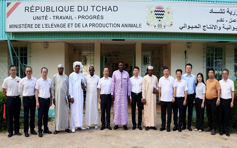 aliments pour bétail Tchad