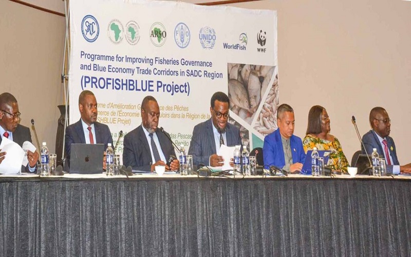 Le Programme d'amélioration de la gouvernance des pêches et des corridors commerciaux de l'économie bleue (projet PROFISHBLUE) a été présenté et un bilan de ses actions a été      exposé
