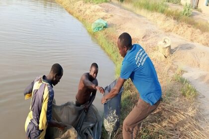 Aquaculture Sénégal