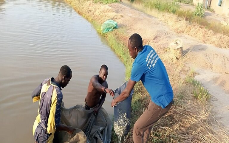 Aquaculture Sénégal