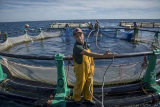 Aquaculture au Maroc