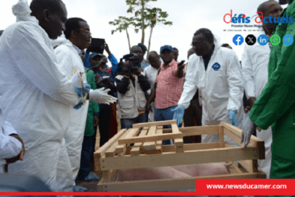 Filière porcine Cameroun