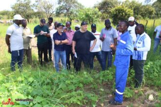 Une mission conjointe du Ministère de l’Élevage et du Ministère du Plan et de la Coopération Internationale,