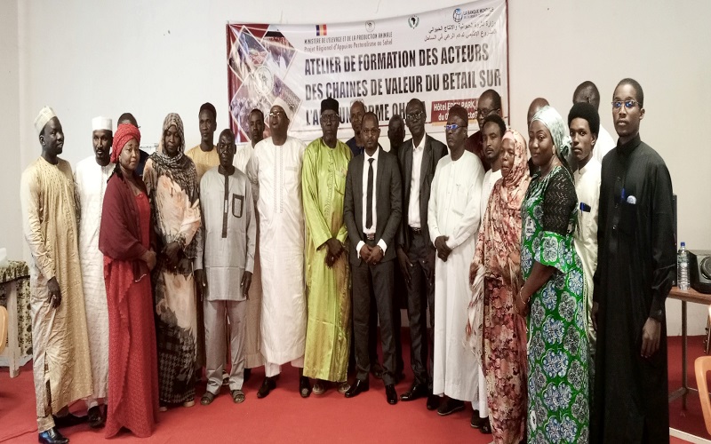 Production animale Tchad