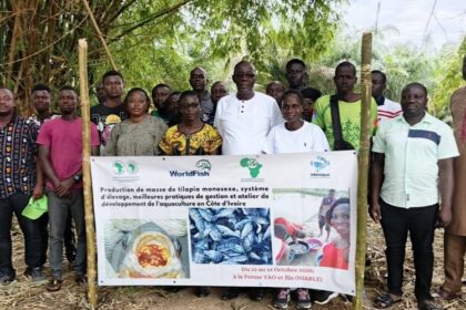 Production tilapia Côte d’Ivoire