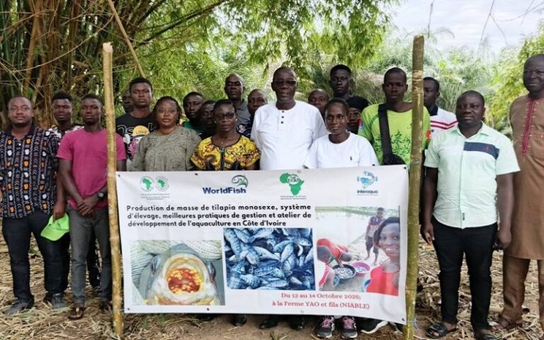 Production tilapia Côte d’Ivoire