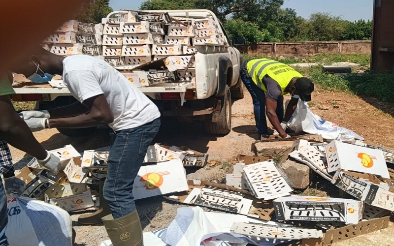 Produits d’origine animale Burkina