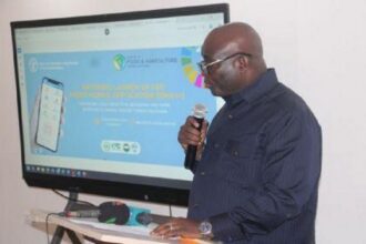 Santé animale Ghana