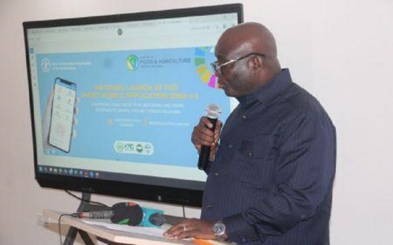 Santé animale Ghana